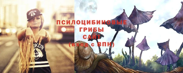 синтетический гашиш Киреевск