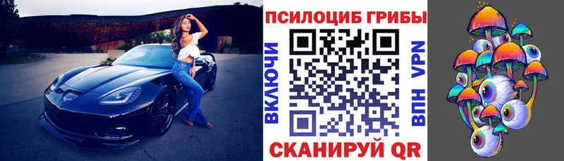 где купить наркотик Невьянск Галлюциногенные грибы Psilocybine cubensis